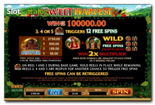 $905 No deposit bonus code at Hippozino Casino