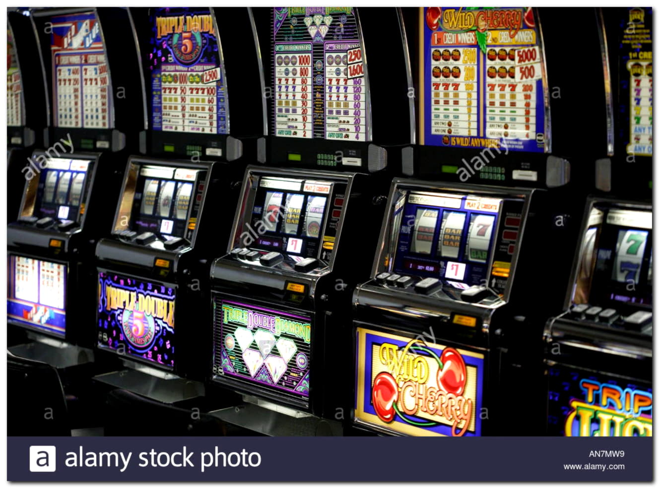 30 Loyalty Free Spins! at Spin Palace Casino