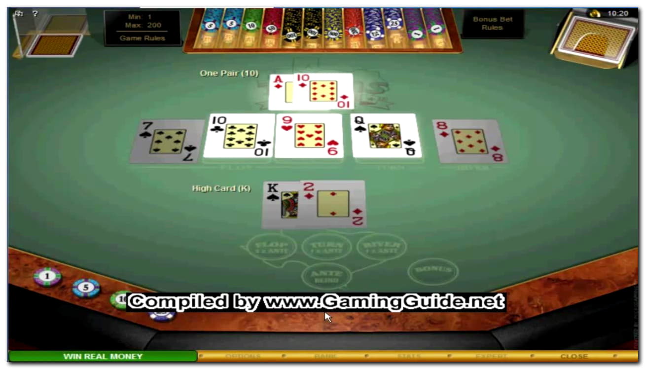 175 Free Spins right now at Buzzluck Casino