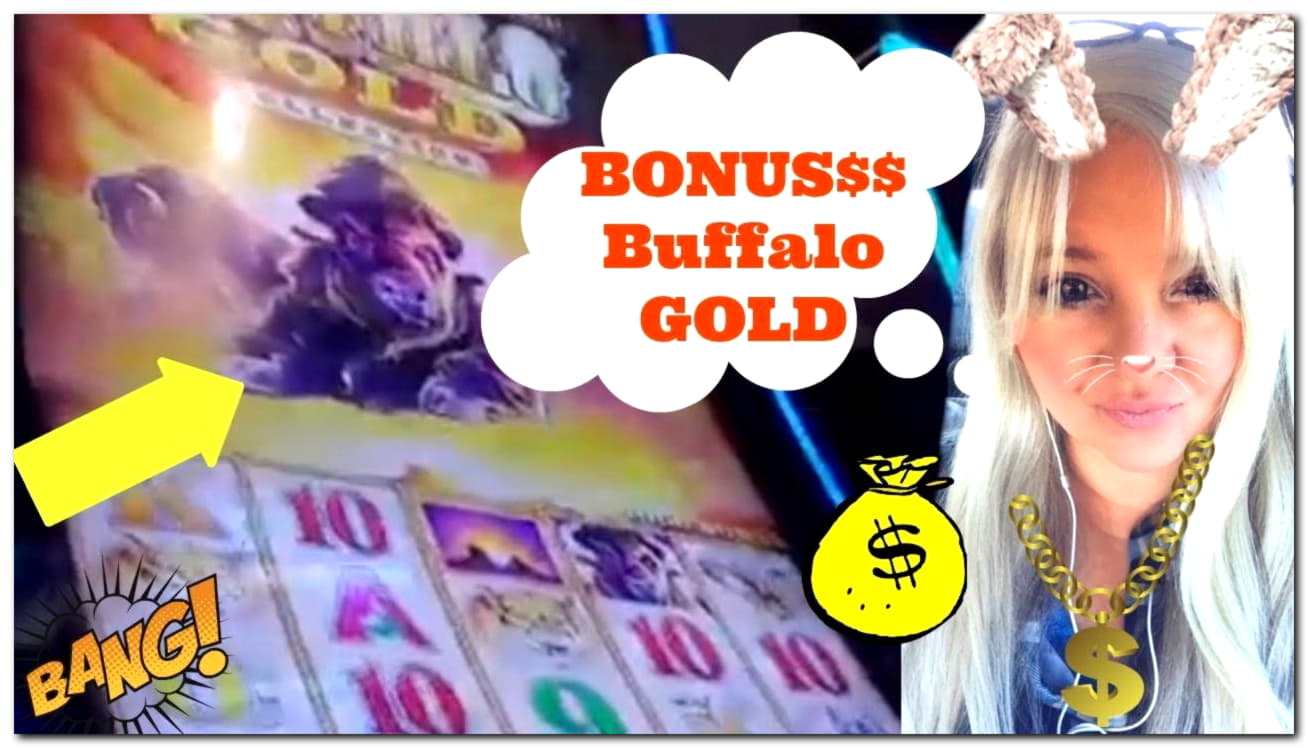 220% Signup Casino Bonus at Online Bets Casino
