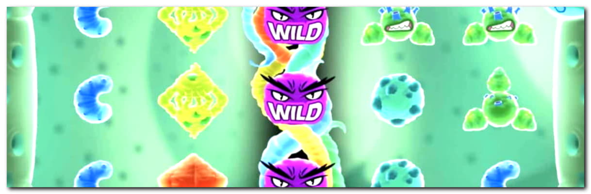 230 Free Spins at Spin Palace Casino