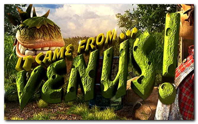 655% Signup Casino Bonus at Hippozino Casino