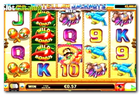 €1205 No Deposit Casino Bonus at Leo Dubai Casino
