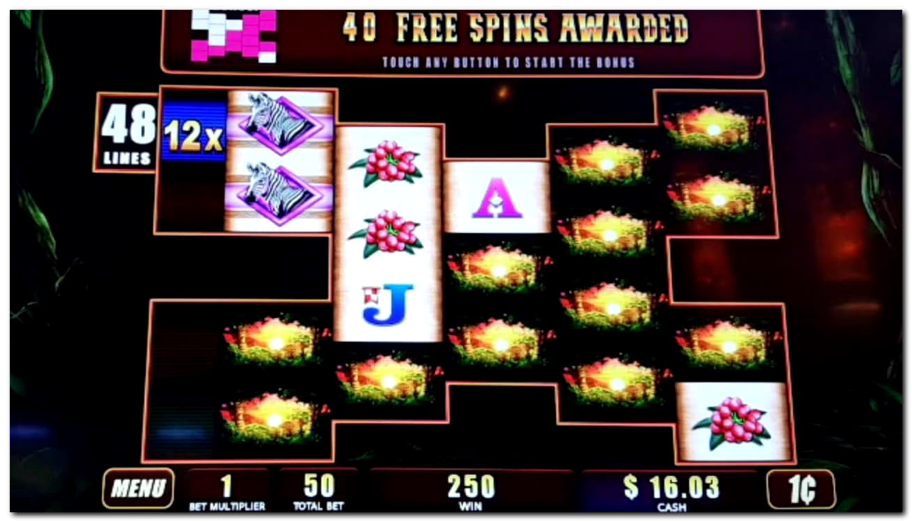 705% Match bonus casino at Jackpot City Casino