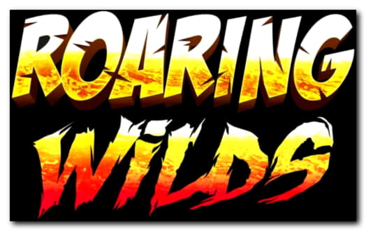 $165 Casino tournaments freeroll at William Hill Casino