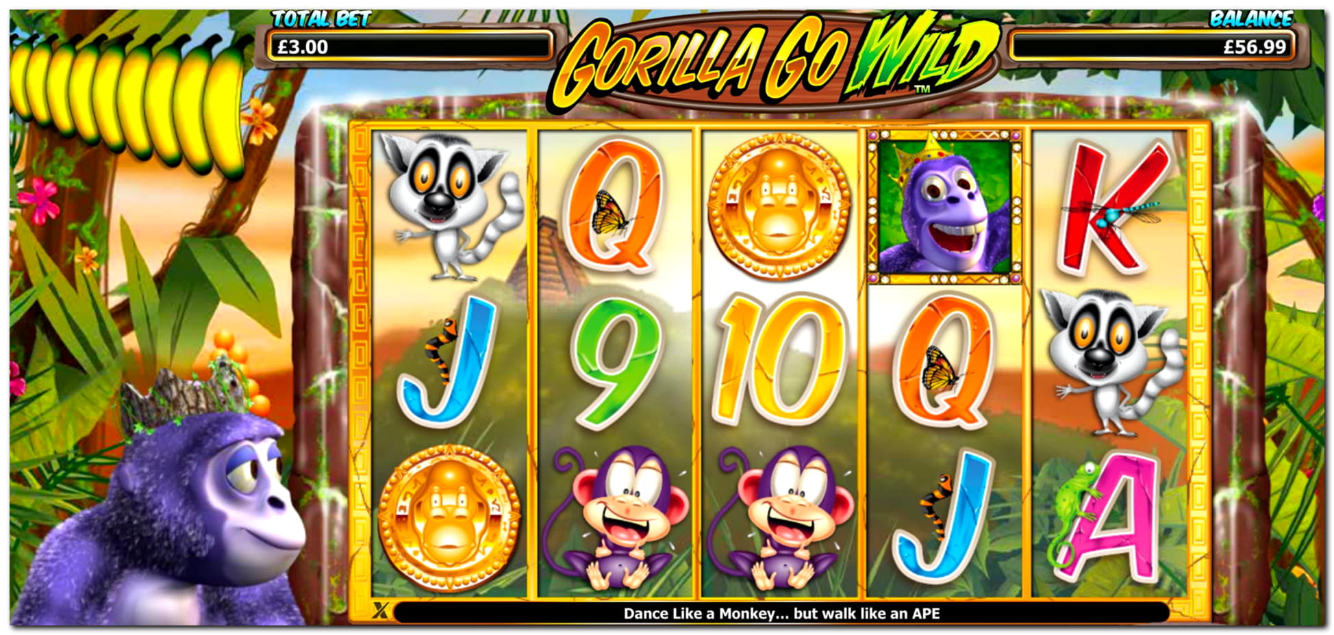 EURO 205 Free Cash at Hippozino Casino