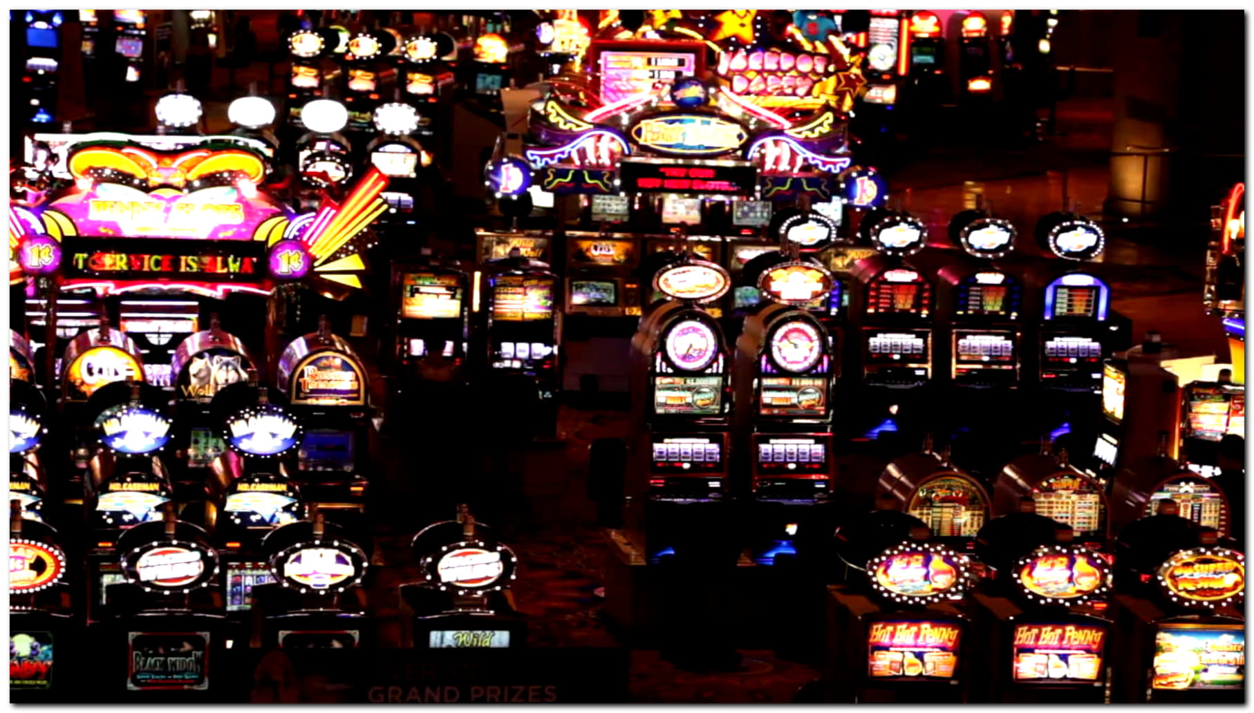 205 Free casino spins at Hippozino Casino