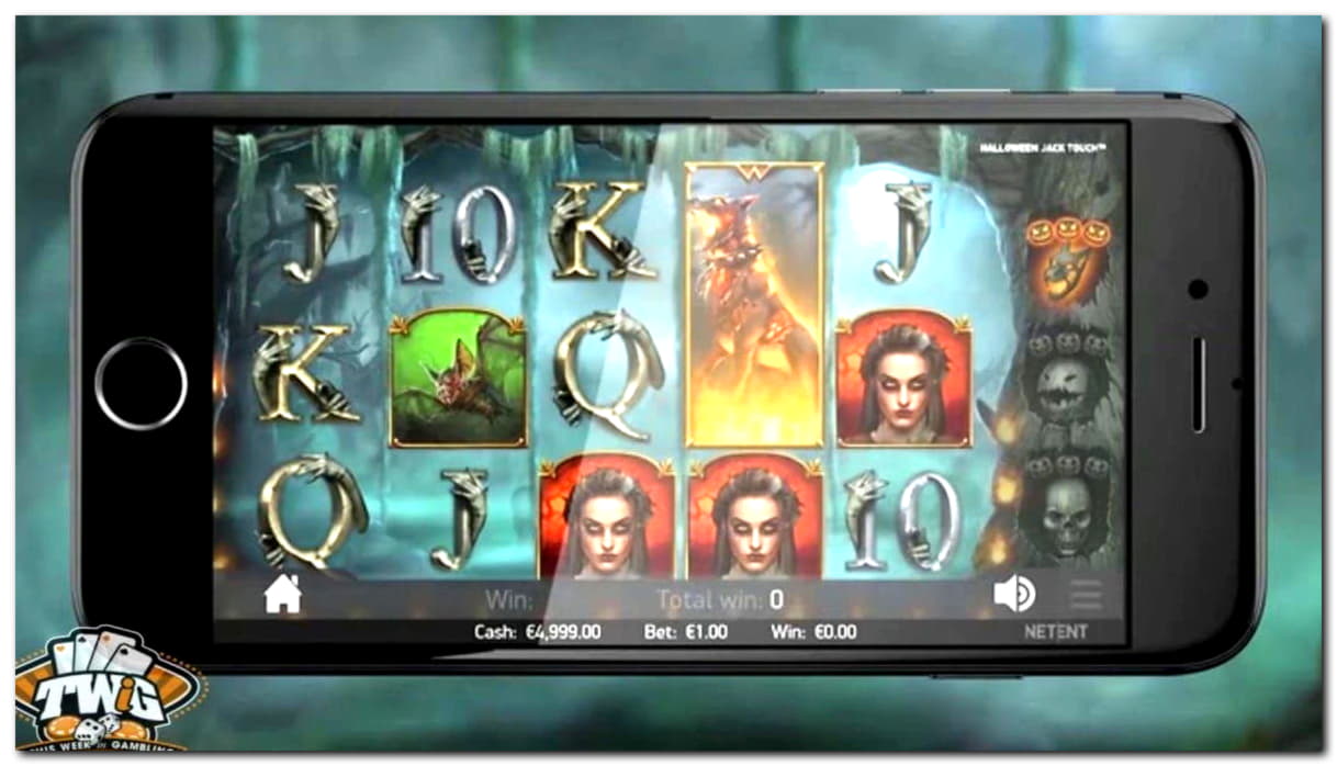 88 Free Spins right now at Hippozino Casino