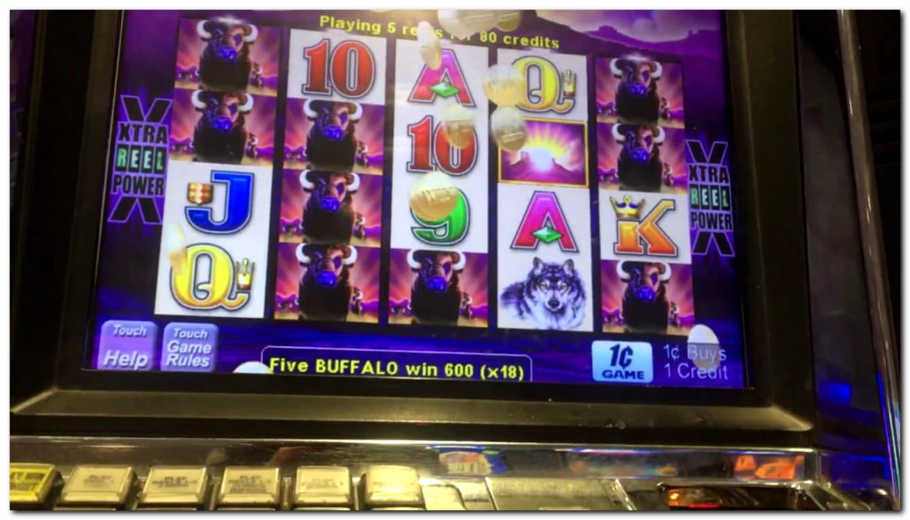 EURO 4900 No deposit at Alf Casino
