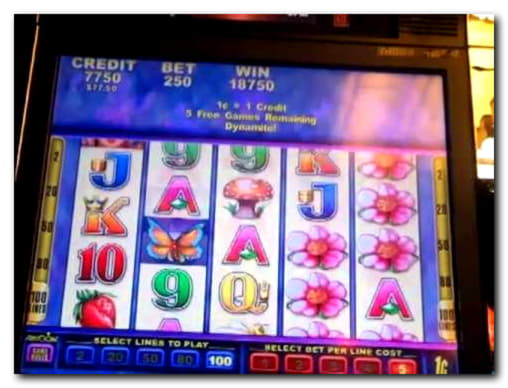170 Free spins casino at Casino com