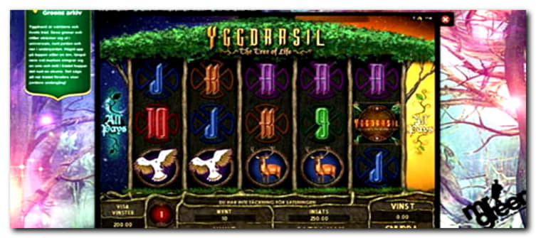 €790 NO DEPOSIT BONUS CASINO at Betnspin Casino