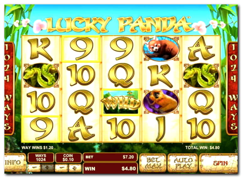 590% Casino Welcome Bonus at Hippozino Casino
