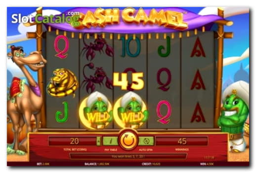£690 casino chip at Guts Casino