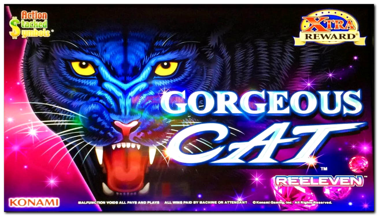 €425 Online Casino Tournament at Party Casino