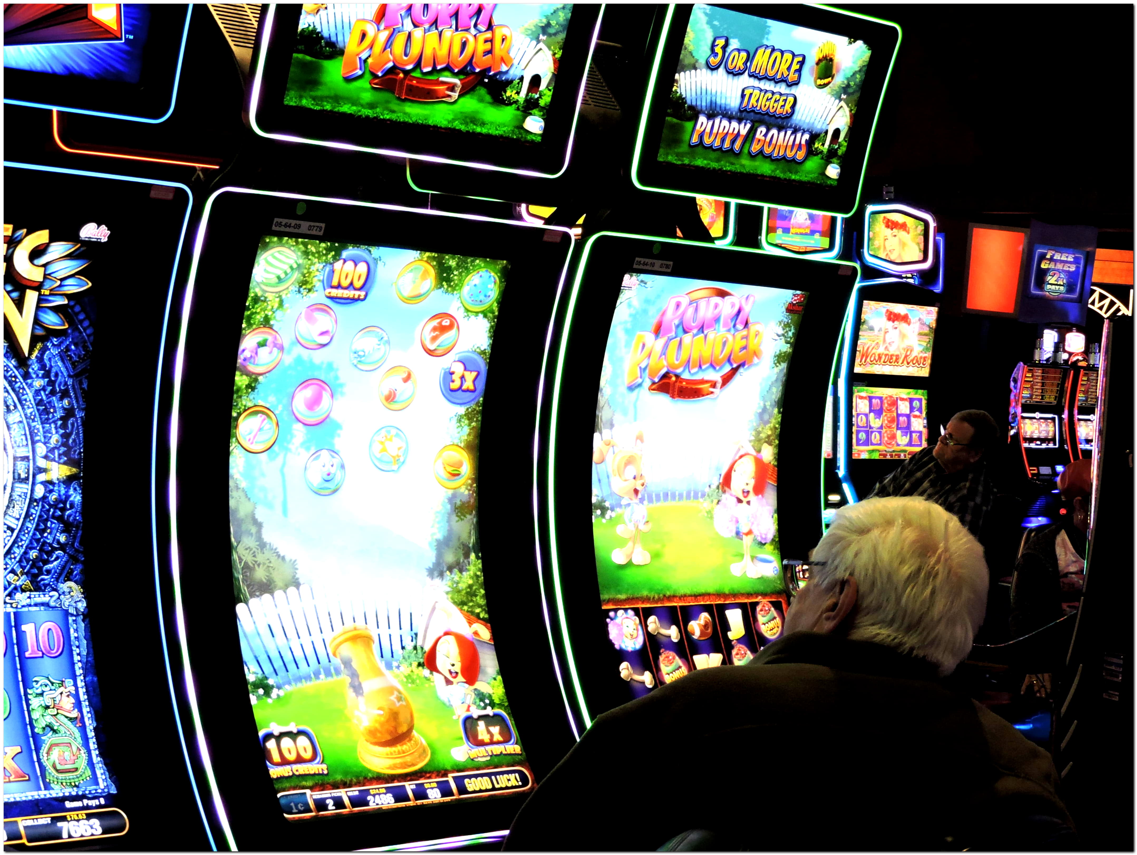 10 free spins casino at Casino Cruise